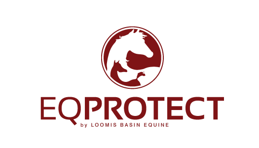 EQ Protect logo